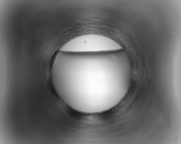 X0000088900561200706080829