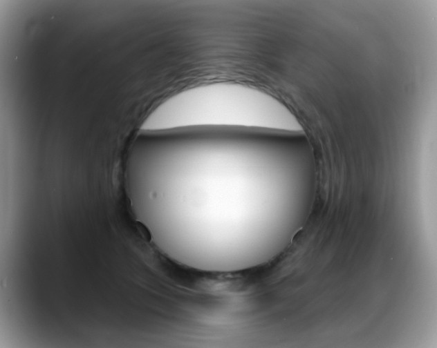 X0000088900563200706080829