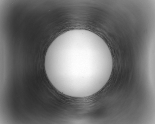 X0000088900564200706080829