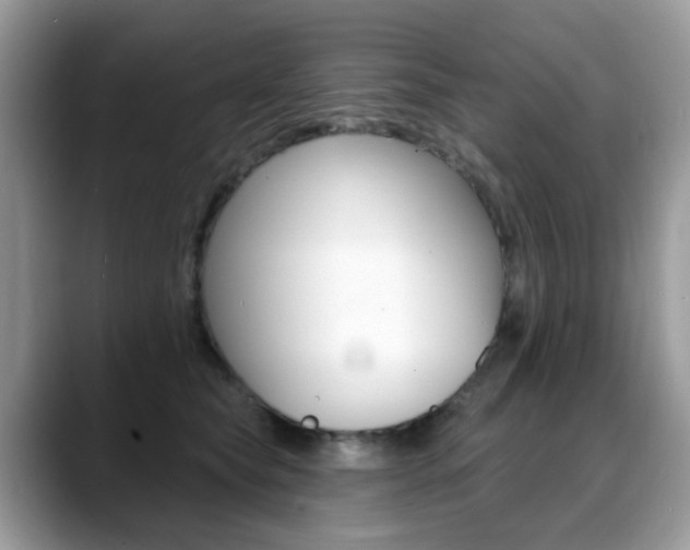 X0000088900565200706080829