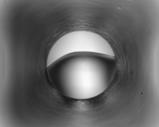 X0000088900566200706080829