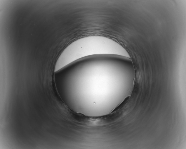 X0000088900570200706080829