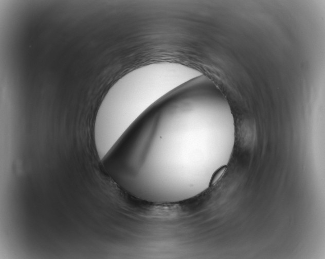 X0000088900571200706080829