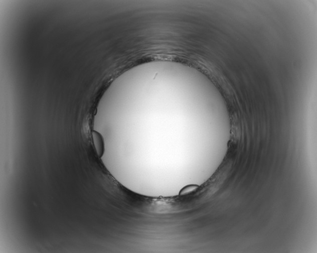 X0000088900573200706080829