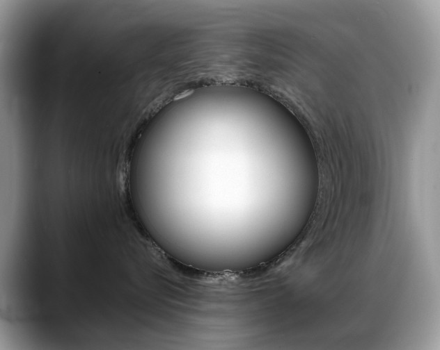 X0000088900576200706080829
