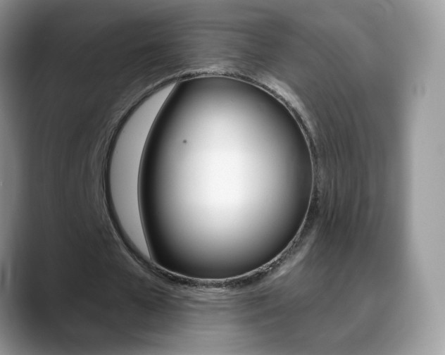 X0000088900577200706080828