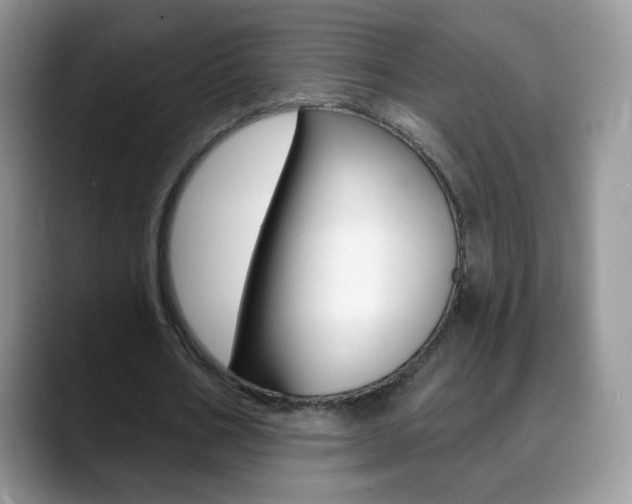 X0000088900578200706080828
