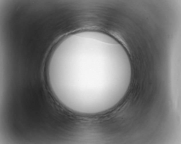 X0000088900579200706080828