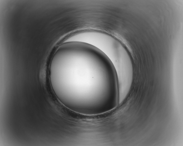 X0000088900580200706080828