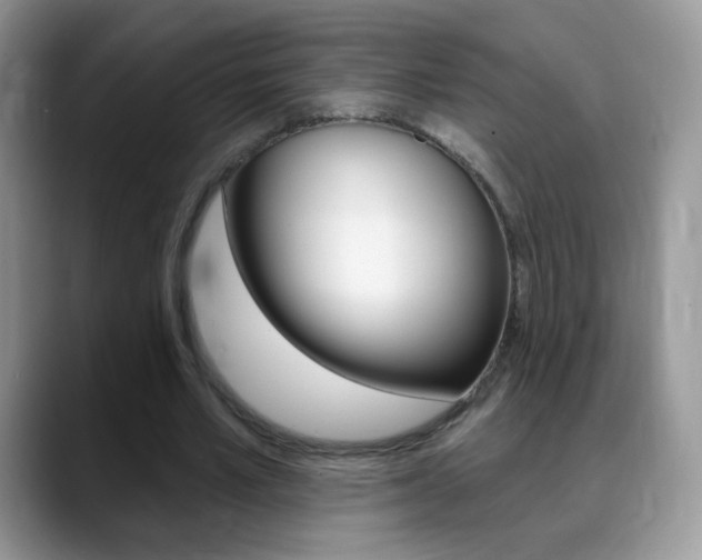 X0000088900581200706080828