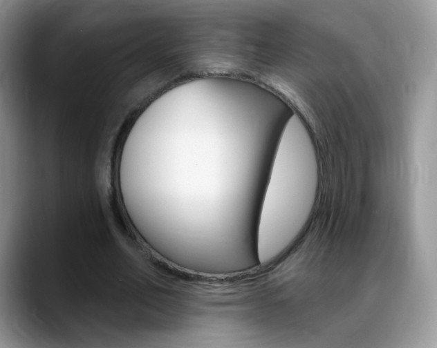 X0000088900582200706080828