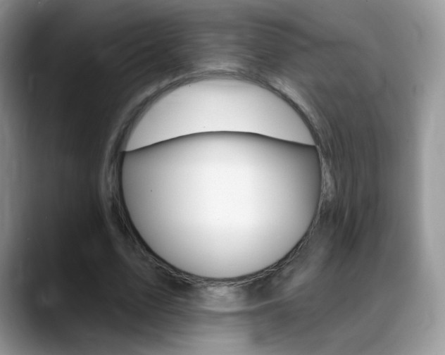 X0000088900583200706080828