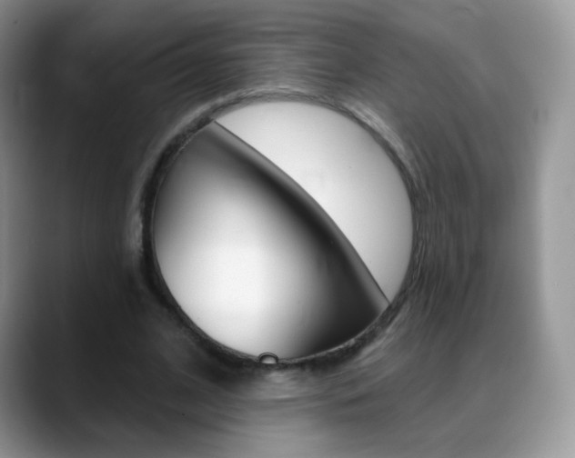 X0000088900584200706080828