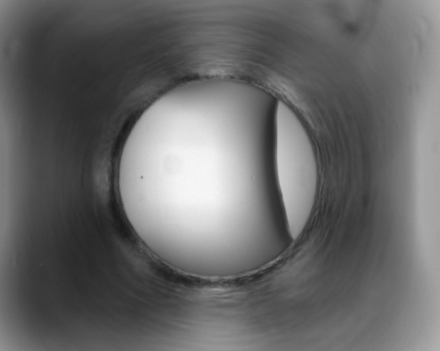 X0000088900586200706080828