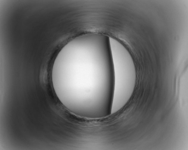 X0000088900587200706080828