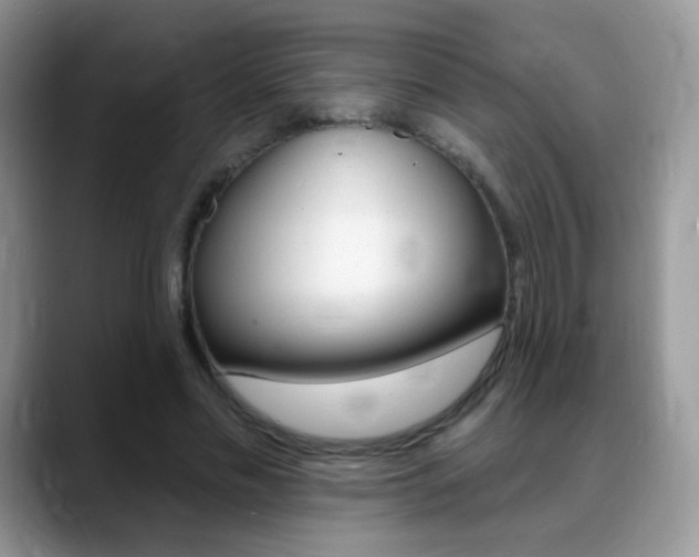 X0000088900589200706080828
