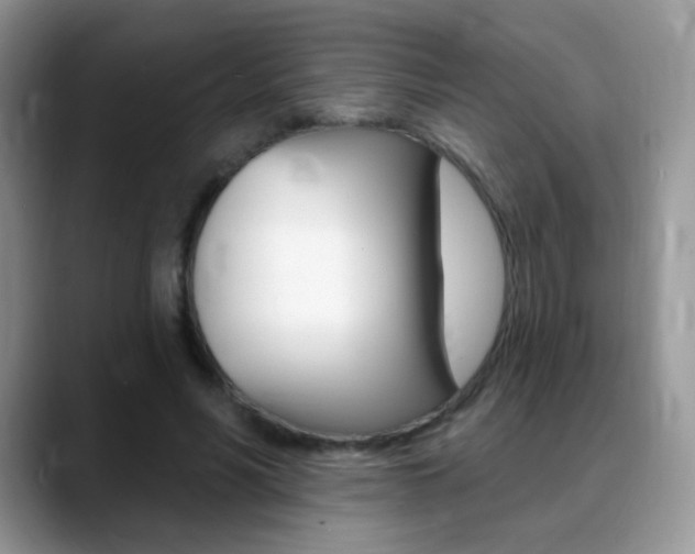 X0000088900590200706080828