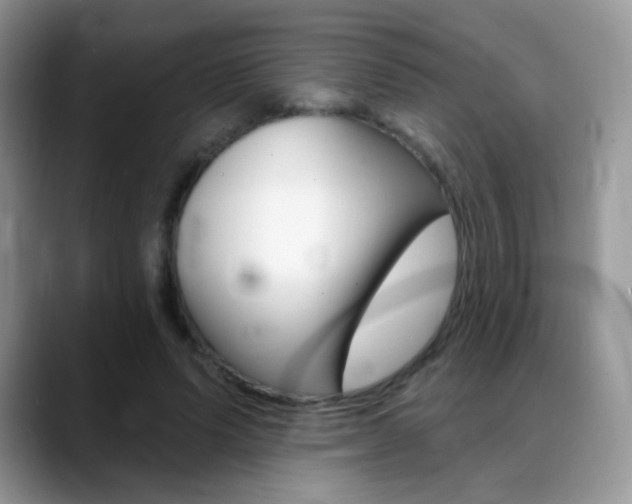 X0000088900591200706080828