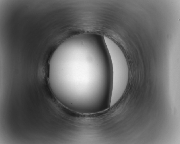 X0000088900593200706080828