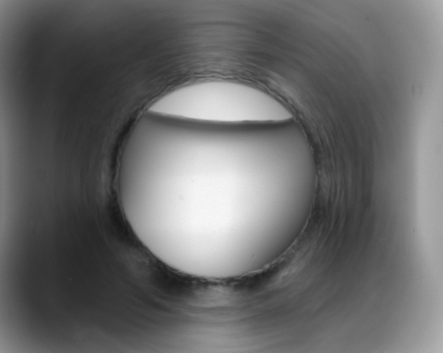 X0000088900594200706080828