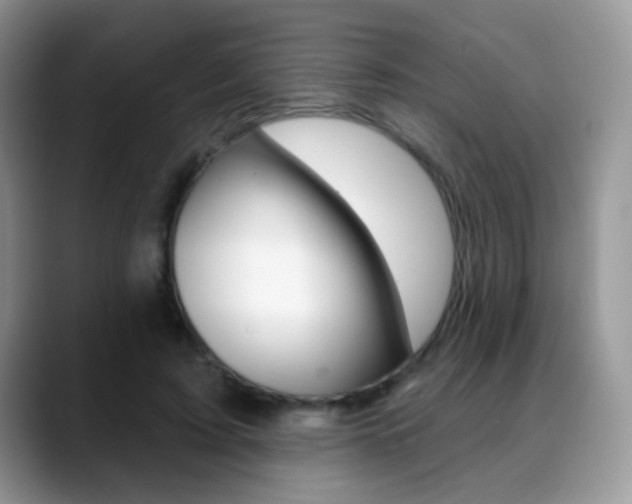 X0000088900595200706080828