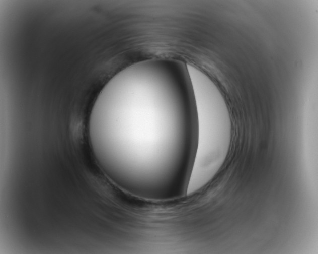 X0000088900597200706080828