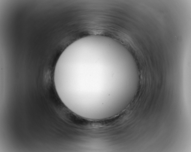 X0000088900598200706080828