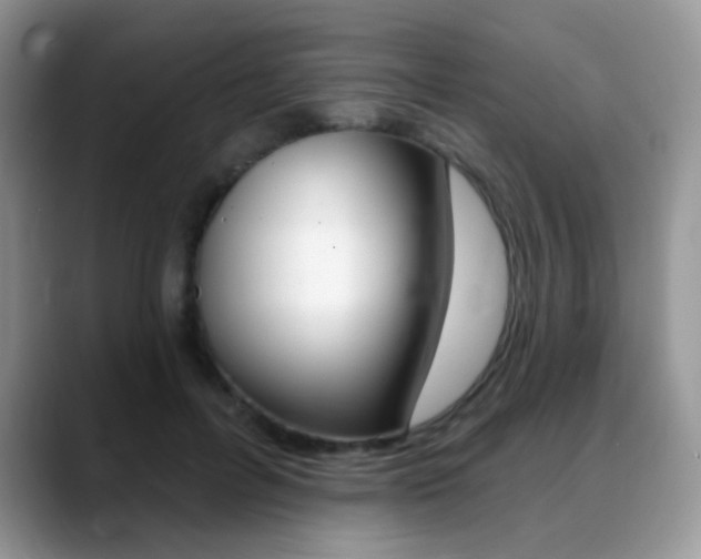 X0000088900600200706080828