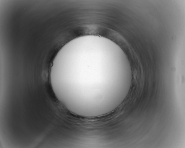 X0000088900602200706080828