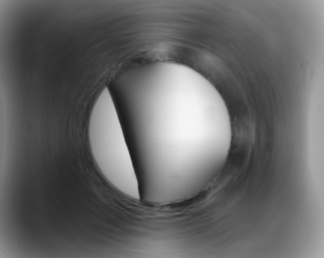 X0000088900603200706080828