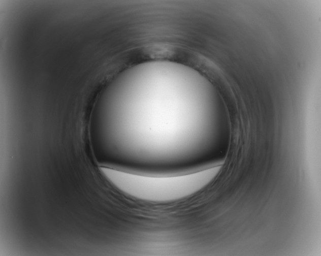 X0000088900604200706080828