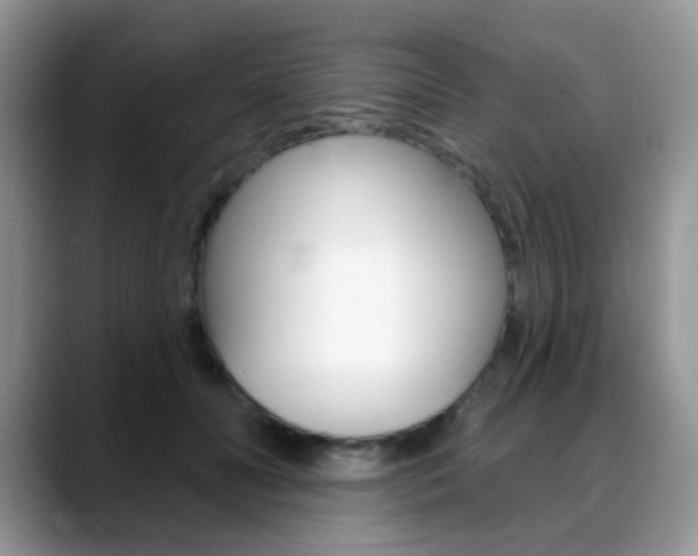 X0000088900606200706080828