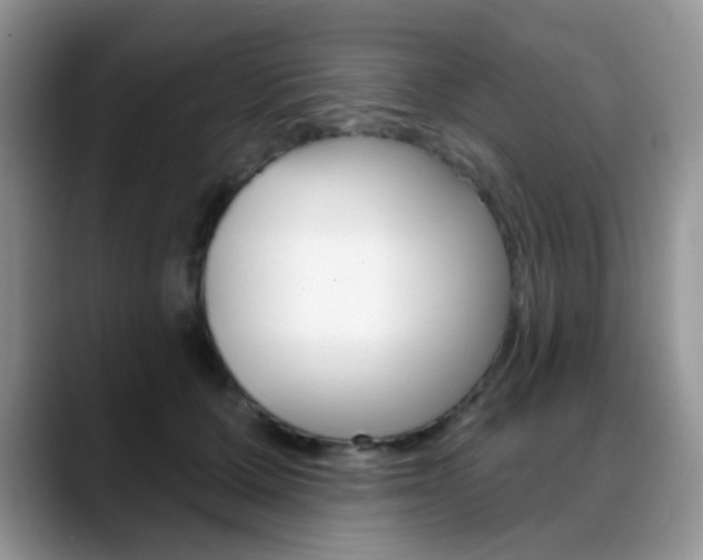X0000088900607200706080828
