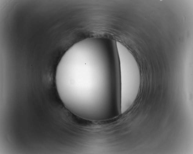 X0000088900608200706080828