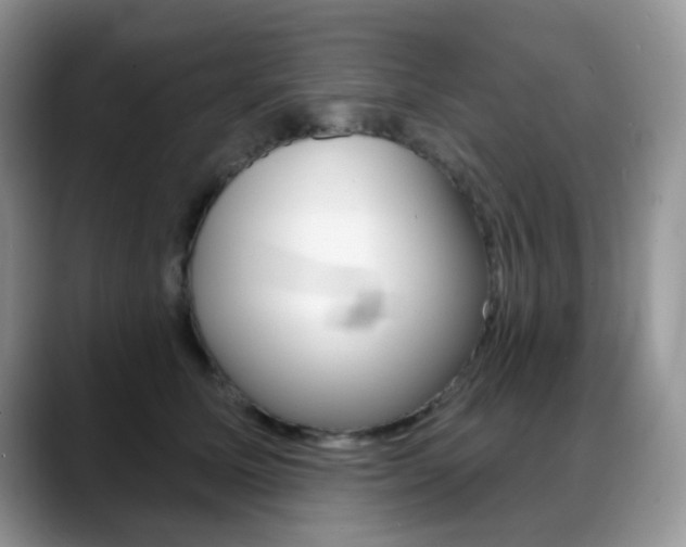 X0000088900611200706080828