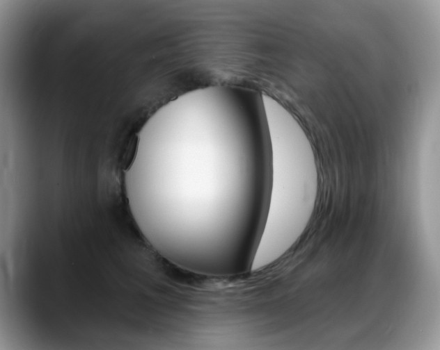 X0000088900613200706080828