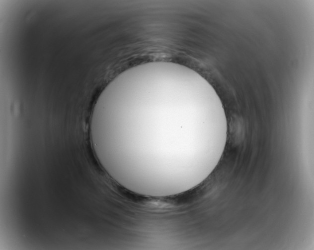 X0000088900614200706080828