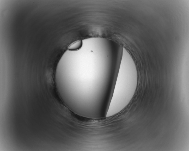 X0000088900616200706080828