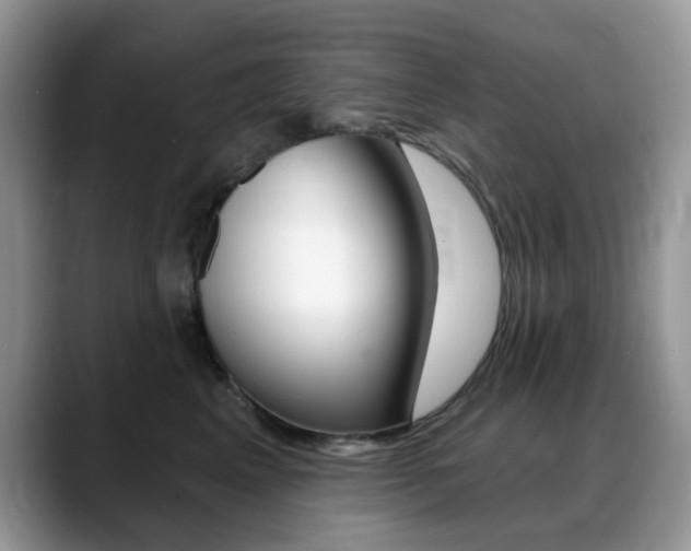 X0000088900617200706080828