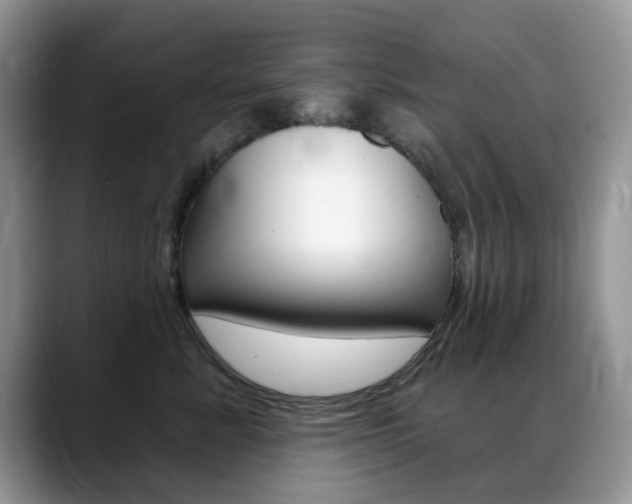 X0000088900619200706080828
