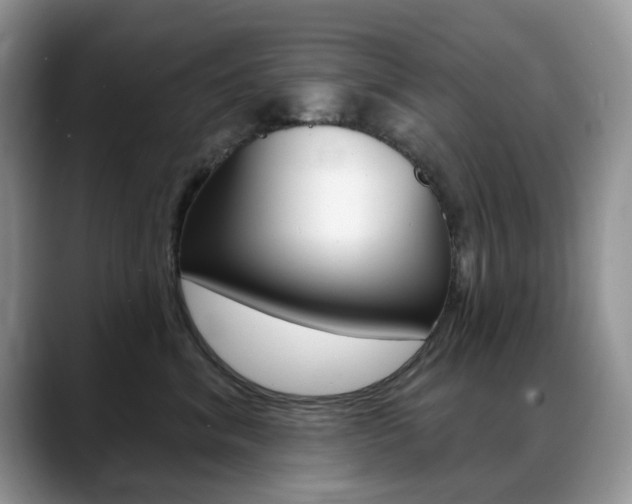 X0000088900620200706080828