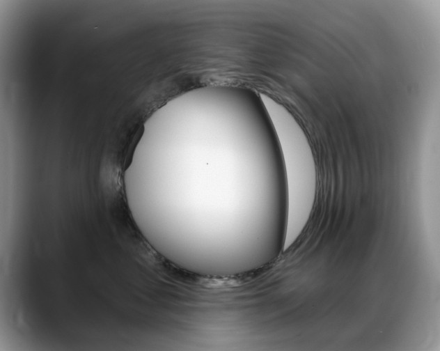 X0000088900621200706080828