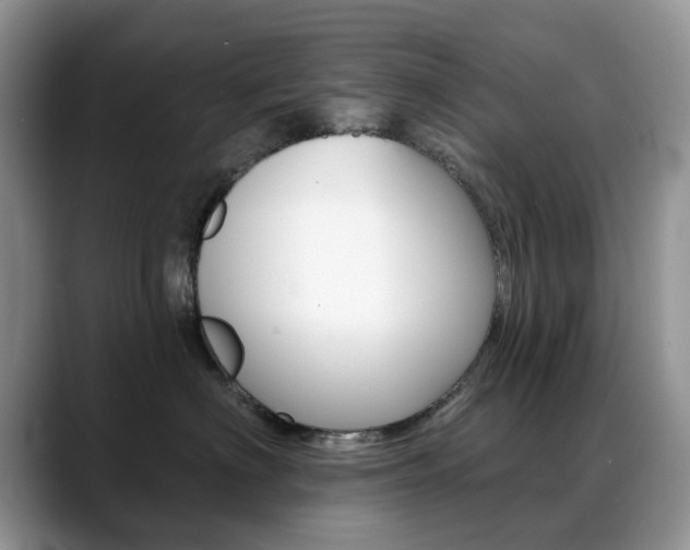 X0000088900622200706080828