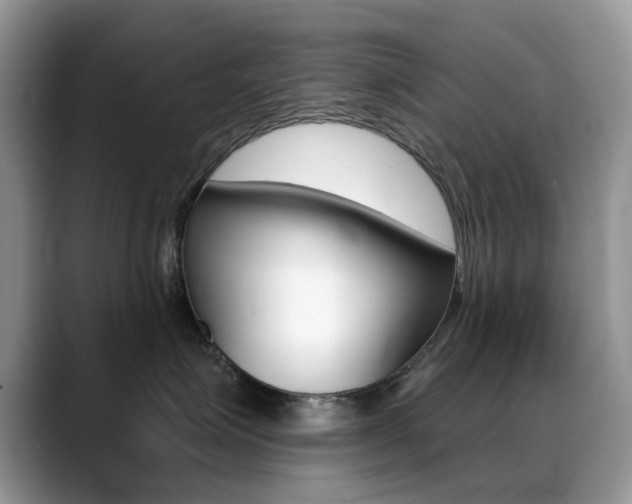 X0000088900623200706080828