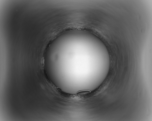 X0000088900624200706080828