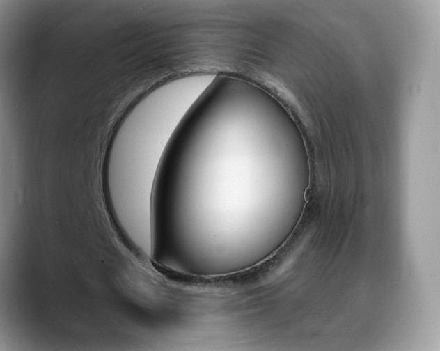 X0000088900625200706080827