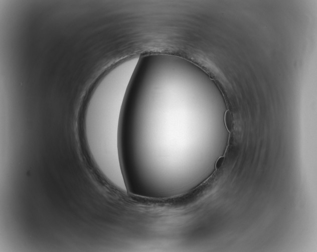 X0000088900626200706080827