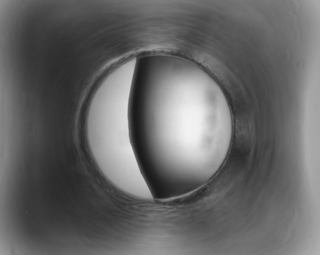 X0000088900628200706080827