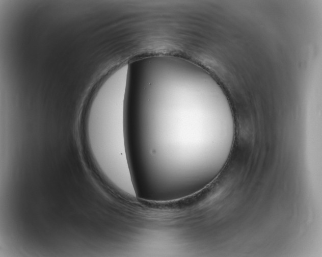 X0000088900630200706080827