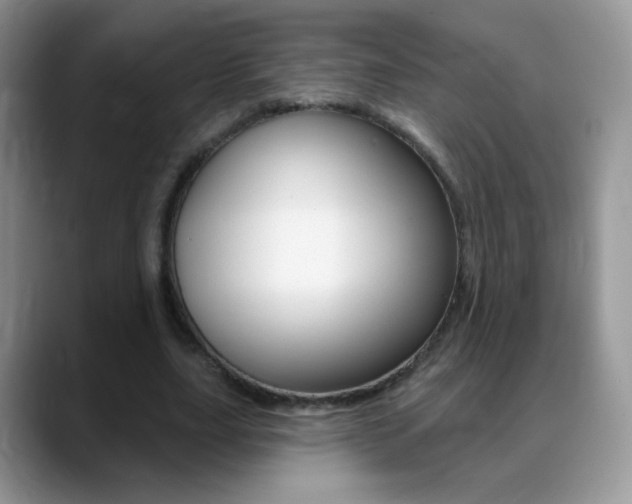X0000088900631200706080827